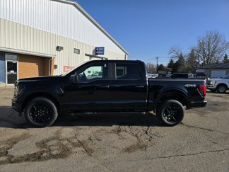 New 2025 Ford F150 STX w/ STX Black Appearance Package image 1