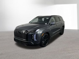 New 2025 Hyundai Palisade XRT image 1