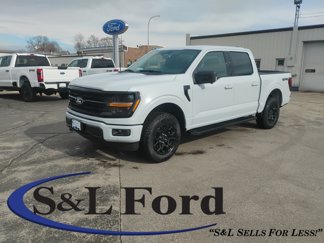 New 2025 Ford F150 XLT image 1
