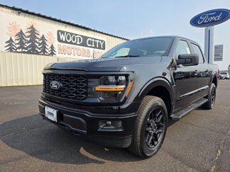 New 2025 Ford F150 STX image 1