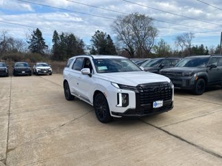 New 2025 Hyundai Palisade Calligraphy image 1