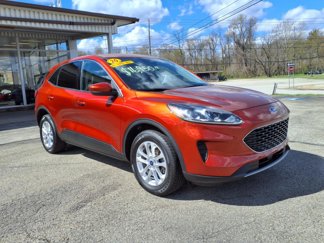 Used 2020 Ford Escape SE image 1