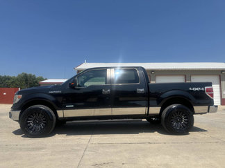 Used 2014 Ford F150 XLT w/ Equipment Group 302A Luxury image 1