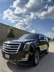 Used 2016 Cadillac Escalade Luxury image 1