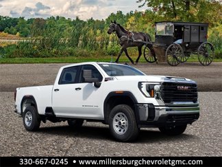 New 2025 GMC Sierra 3500 Pro image 1