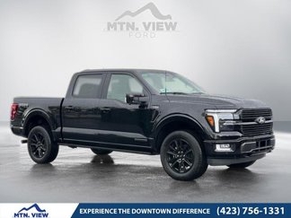 New 2025 Ford F150 Platinum image 1