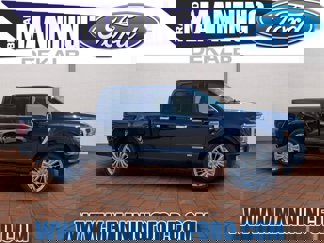 New 2025 Ford F150 Platinum image 1