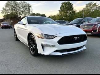 Used 2018 Ford Mustang Premium image 1
