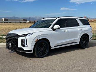 New 2025 Hyundai Palisade Calligraphy image 1