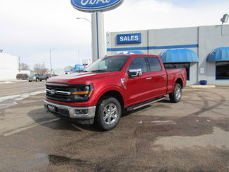 New 2025 Ford F150 XLT w/ Equipment Group 302A MID image 1