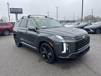 New 2025 Hyundai Palisade XRT image 1