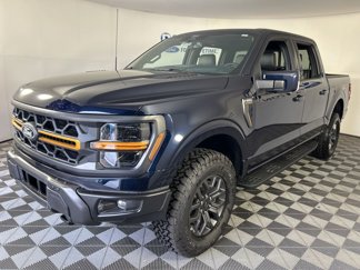 New 2025 Ford F150 Tremor image 1
