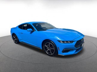 Used 2024 Ford Mustang Premium image 1