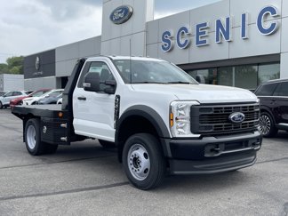 New 2025 Ford F550 4x4 Regular Cab Super Duty image 1
