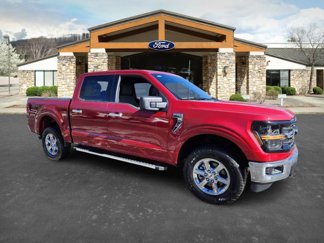 New 2025 Ford F150 XLT w/ Equipment Group 301A Standard image 1