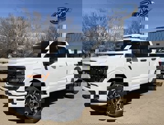 New 2025 Ford F150 STX image 1