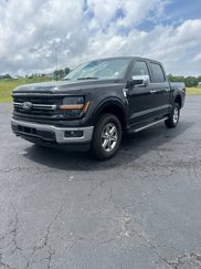 New 2024 Ford F150 XLT w/ Equipment Group 302A MID image 1