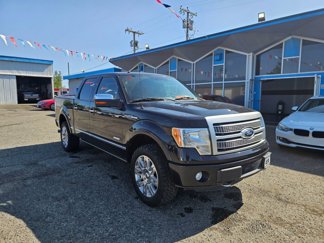 Used 2011 Ford F150 Platinum image 1