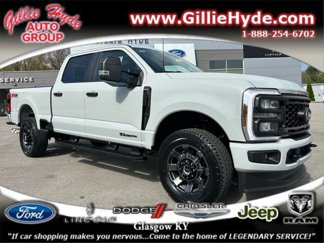 New 2025 Ford F250 XL w/ STX Appearance Package image 1