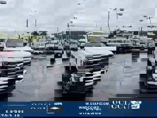New 2025 Ford F250 Platinum image 1