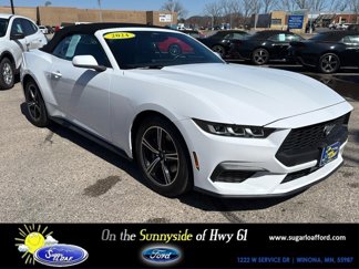 Used 2024 Ford Mustang Premium image 1