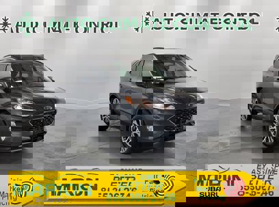 Used 2022 Ford Escape SEL