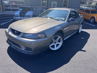 Used 2001 Ford Mustang Cobra