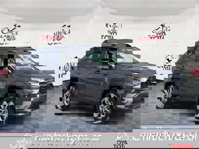 New 2025 Toyota RAV4 XLE Premium