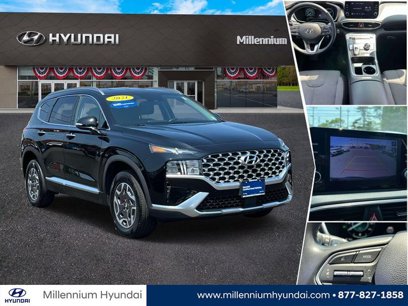 Certified 2021 Hyundai Santa Fe Blue w/ Cargo Package