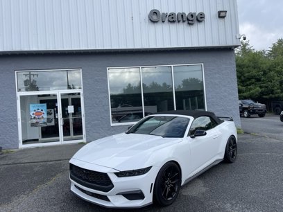 Used 2024 Ford Mustang Premium w/ Mustang Nite Pony Package