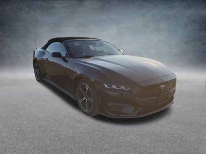 Used 2024 Ford Mustang Convertible