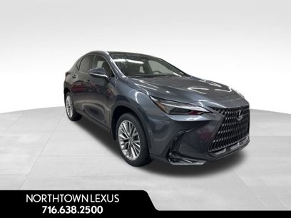 New 2025 Lexus NX 350 AWD w/ Luxury Package