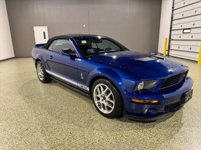 Used 2008 Ford Mustang Shelby GT500