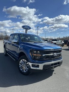 New 2025 Ford F150 XLT w/ Equipment Group 302A MID