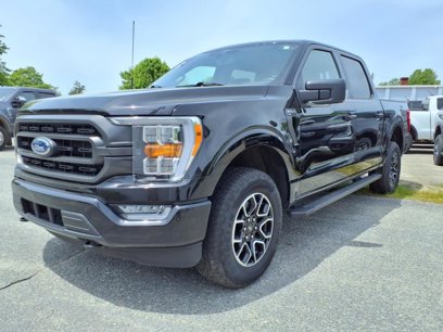 Used 2023 Ford F150 XLT w/ Equipment Group 302A High