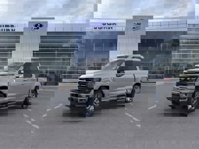 New 2024 Ford F150 XLT w/ Equipment Group 303A High