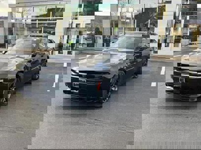 New 2024 Dodge Charger R/T w/ Plus Group