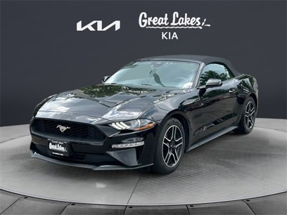 Used 2023 Ford Mustang Premium