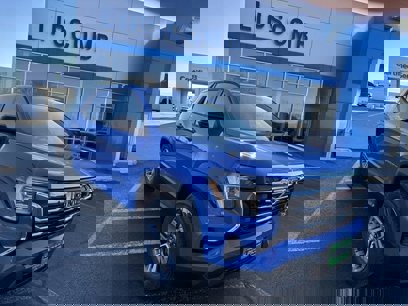 New 2025 GMC Terrain Elevation