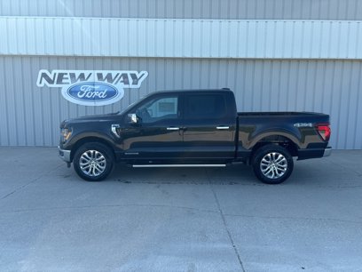 New 2024 Ford F150 XLT w/ Equipment Group 302A MID
