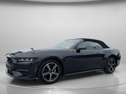 New 2024 Ford Mustang Premium