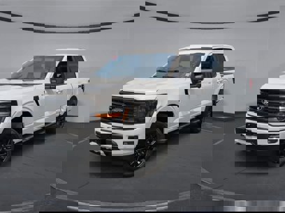 New 2025 Ford F150 XLT w/ Equipment Group 303A High