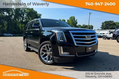 Used 2016 Cadillac Escalade Luxury