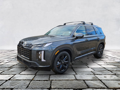 New 2025 Hyundai Palisade XRT