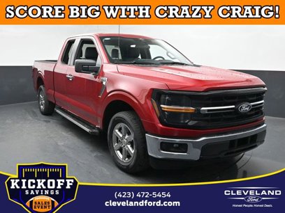 New 2025 Ford F150 XLT w/ Equipment Group 301A Standard