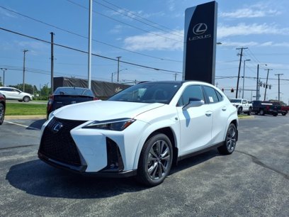 New 2025 Lexus UX 300h AWD w/ Cold Area Package
