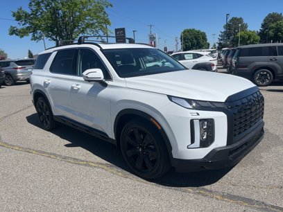 New 2025 Hyundai Palisade XRT
