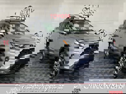 New 2025 Toyota RAV4 XLE Premium
