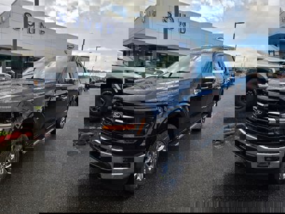 New 2024 Ford F150 XLT w/ Equipment Group 303A High