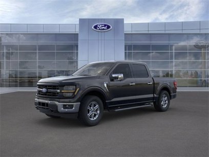 New 2024 Ford F150 XLT w/ Equipment Group 302A MID